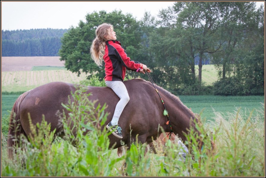 Asbach Fohlenshow 2014 054
